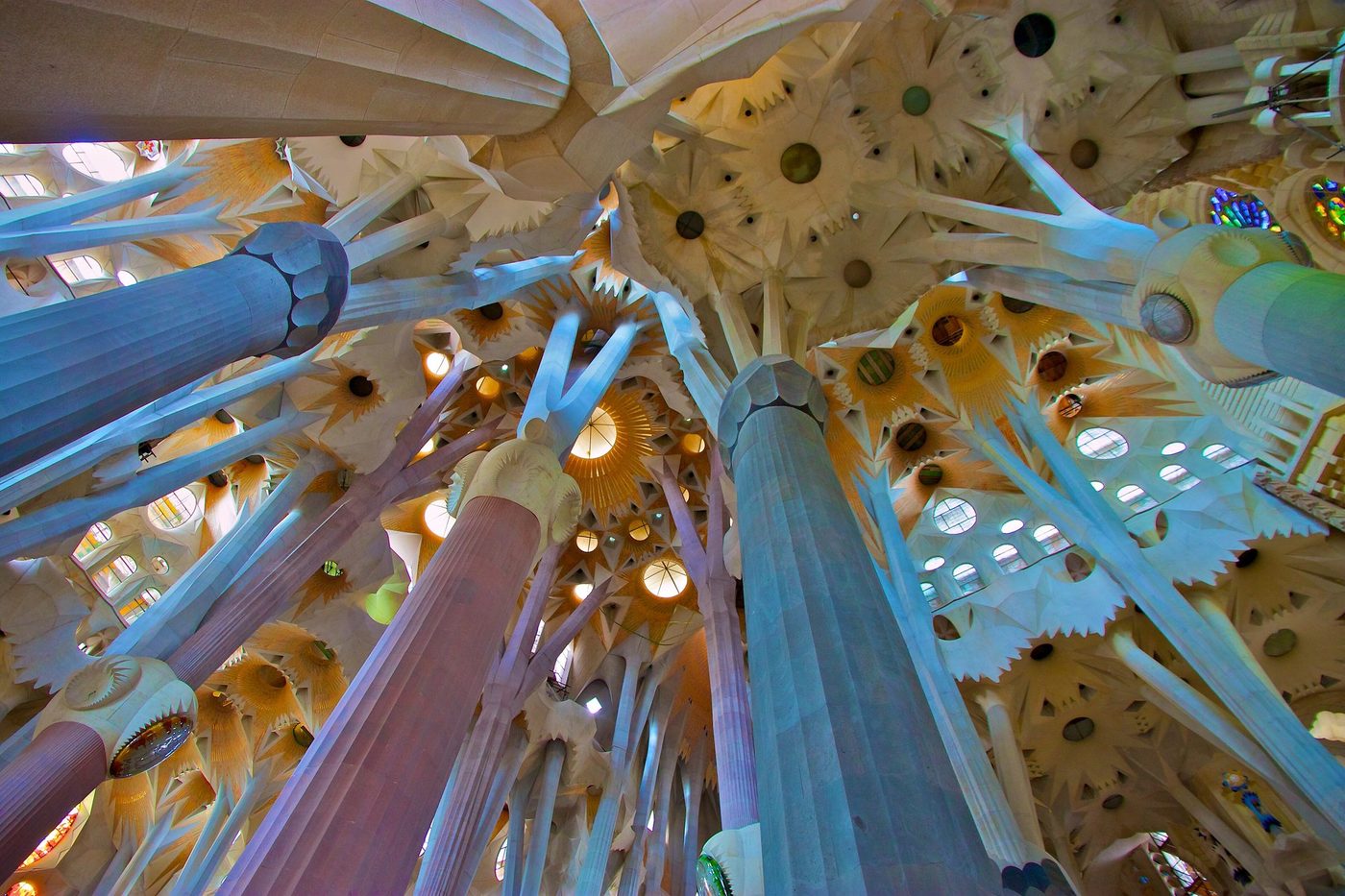 Branching columns and vaults in blue and amber light