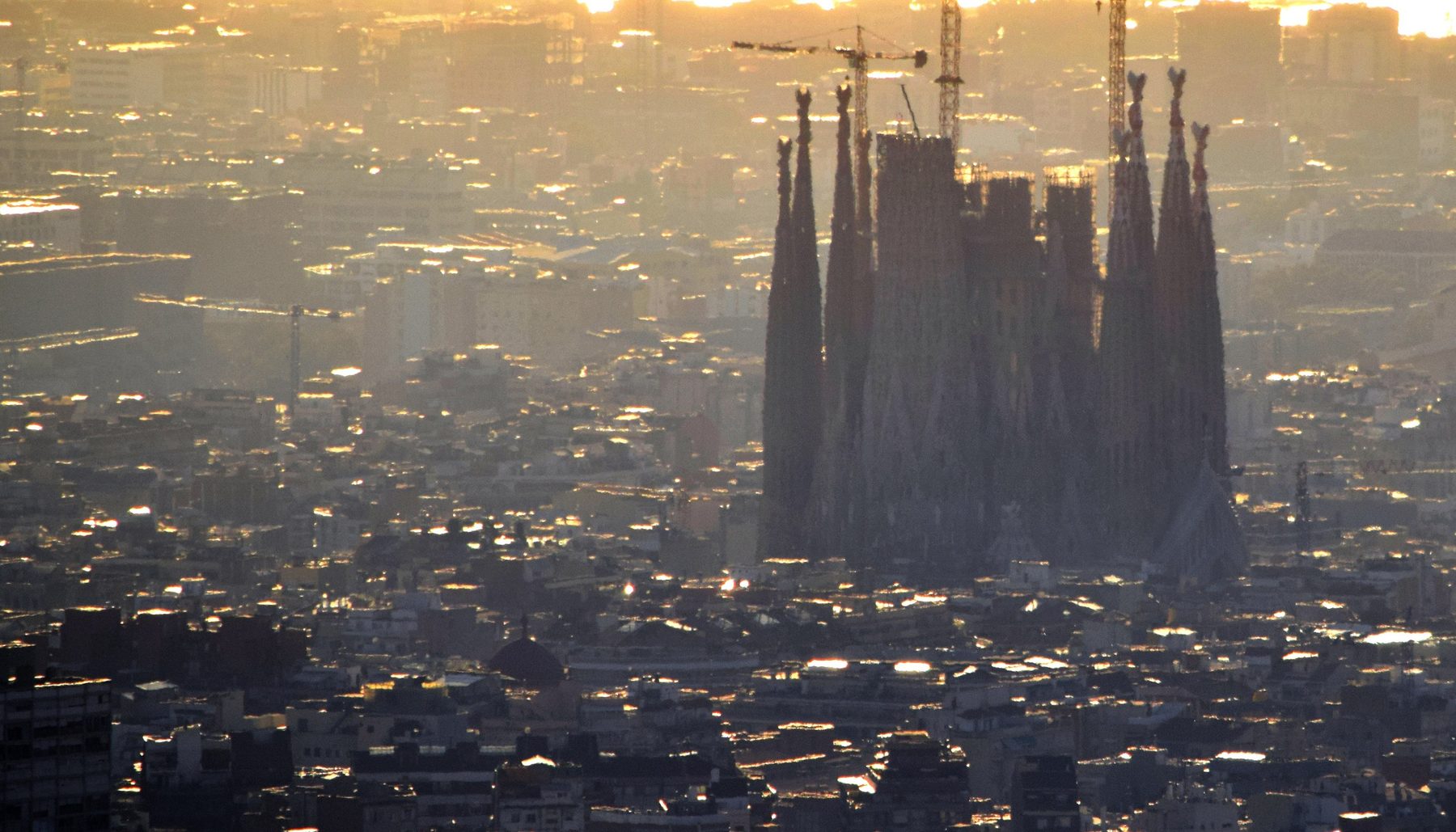 Sagrada Família silhouetted above Barcelona rooftops at sunrise
