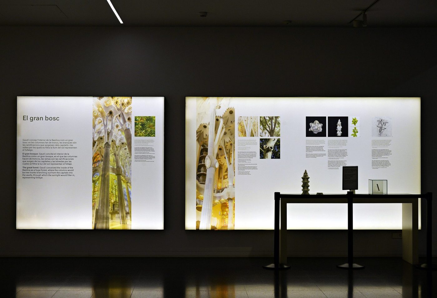 Basilica design panels in a dark museum room