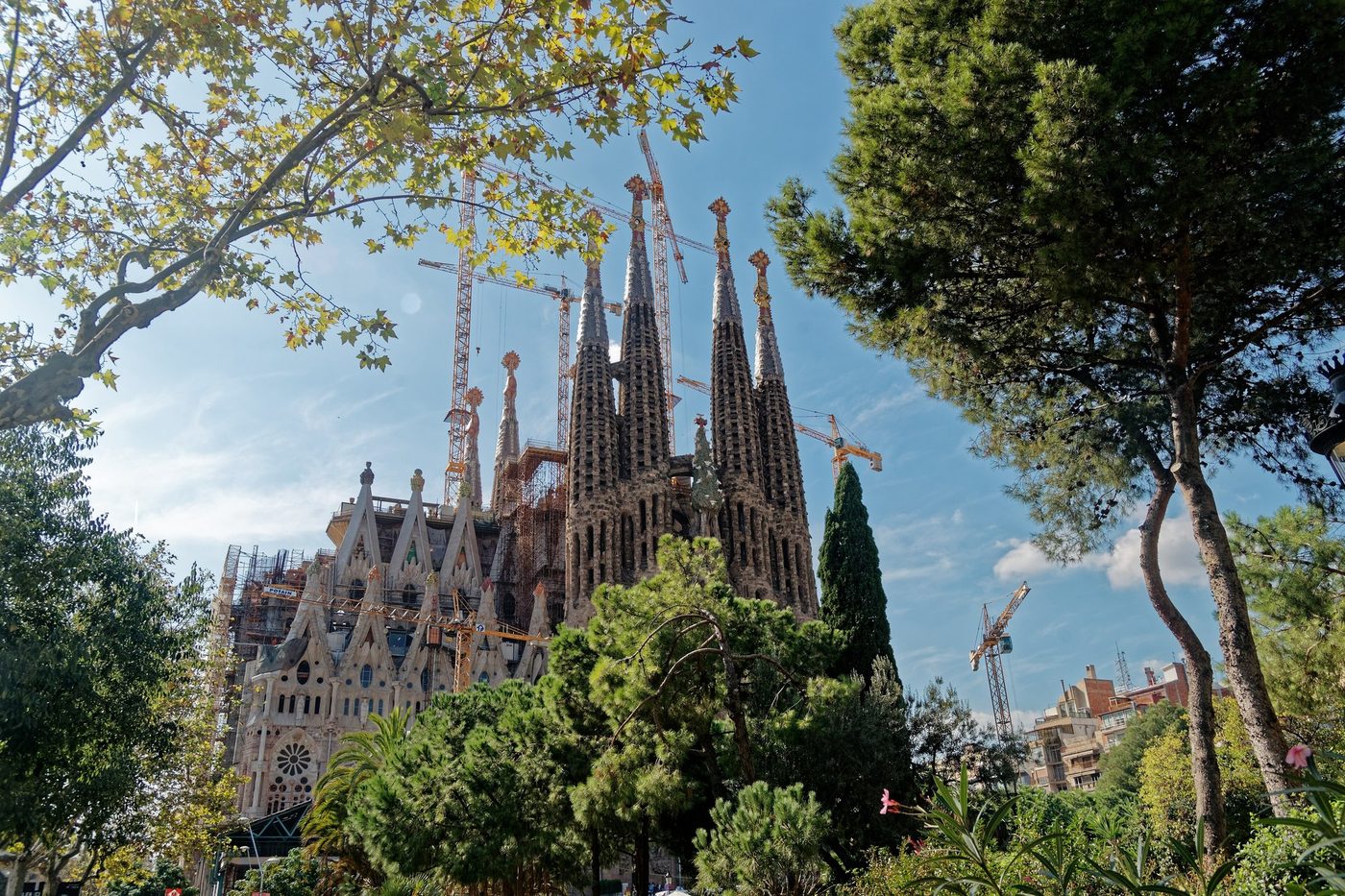 The Nativity façade from Plaça de Gaudí, through trees