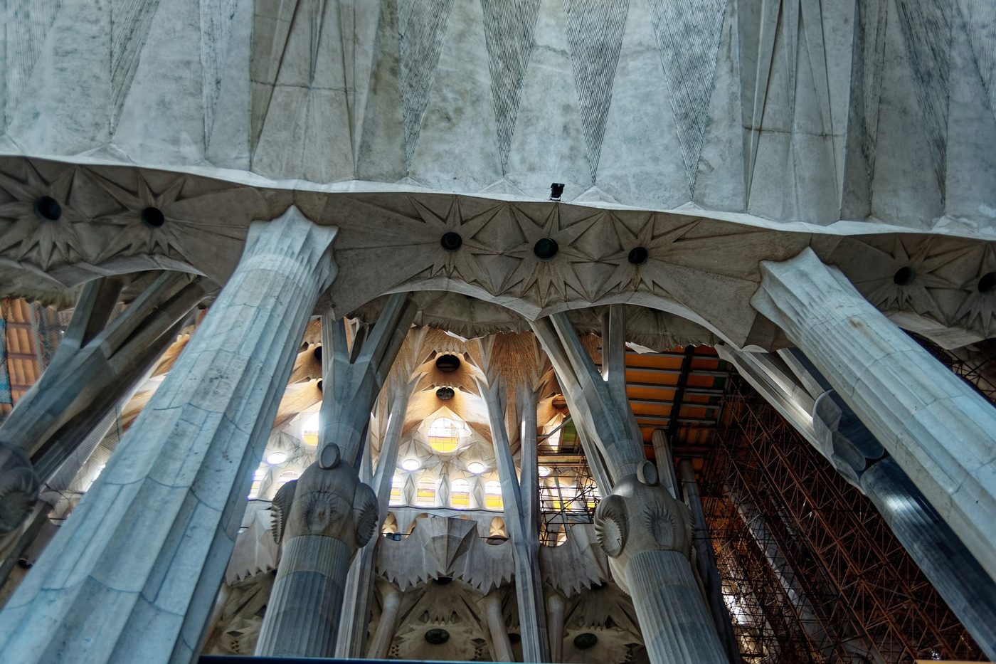 Grey columns branching beneath the vaults